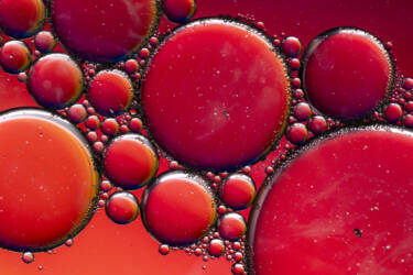 Ross Hoddinott | Nikon magazine