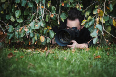 Nikon magazine - beginner bird photography with the Z5II and Samuel Houcken